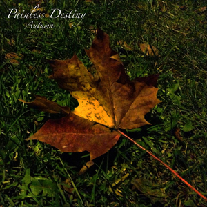 国产又粗又白又嫩又爽
